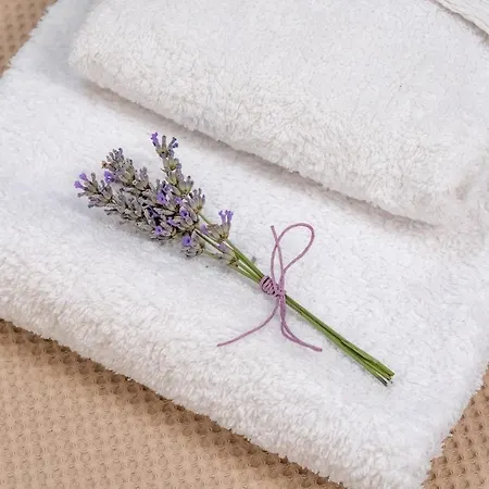 Lavanda E Pietra *
